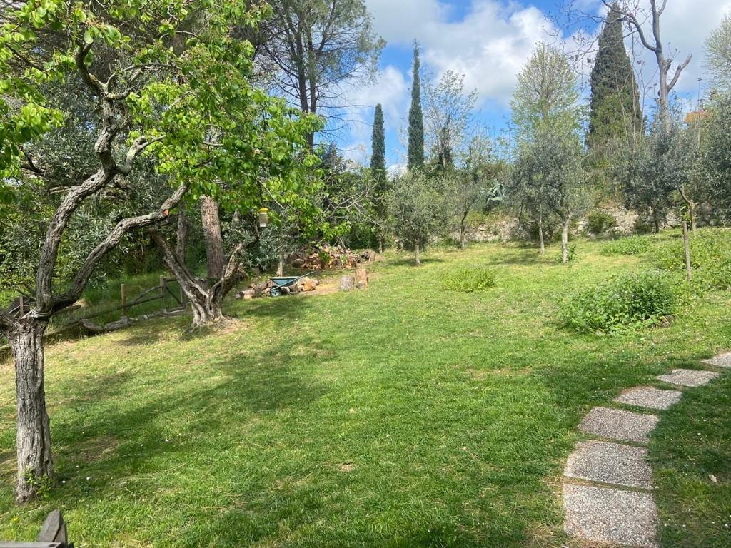Villa Antonella Castellina Marittima Exteriör bild
